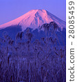 Red Mt. Fuji 28085459