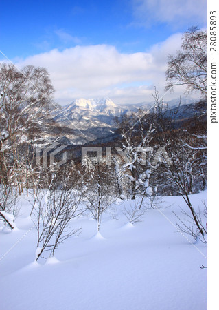 大沼山冬天場面 28085893