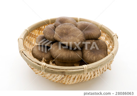 Miracake Miracake 28086063