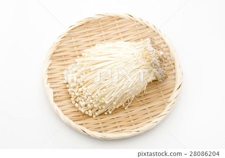 Enoki 28086204