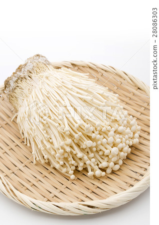 Enoki 28086303