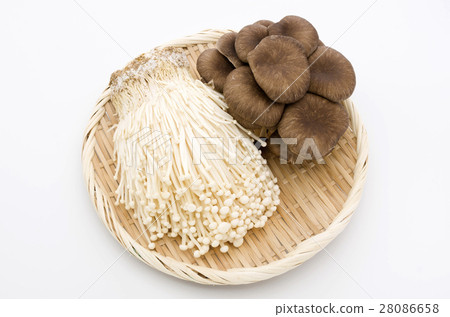 Enoki and Hirate 28086658