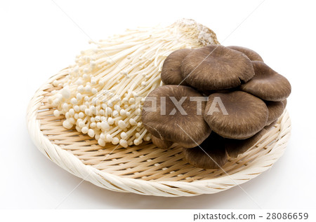 Enoki and Hirate 28086659