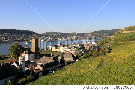 Ruedesheim town and vineyards 28087069