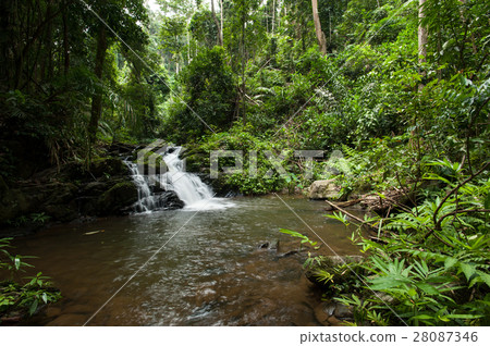 Beautiful waterfall Beautiful waterfall 28087346