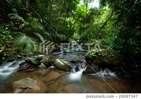 Beautiful waterfall  28087347