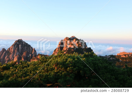 黃山 28088729
