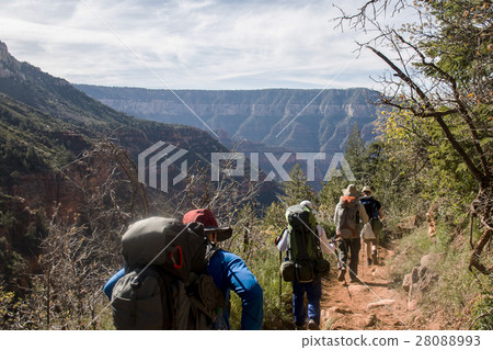 Grand Canyon National Park USA North rim 2 28088993