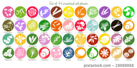 Big set of 44 flat essential oil labels. White Big set of 44 flat essential oil labels. White 28089888