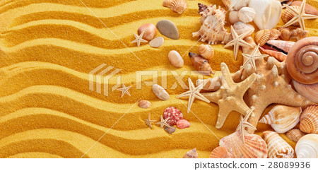 Yellow sand and seashells background. Yellow sand and seashells background. 28089936
