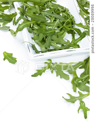 Fresh arugula leaves. Fresh arugula leaves. 28089998