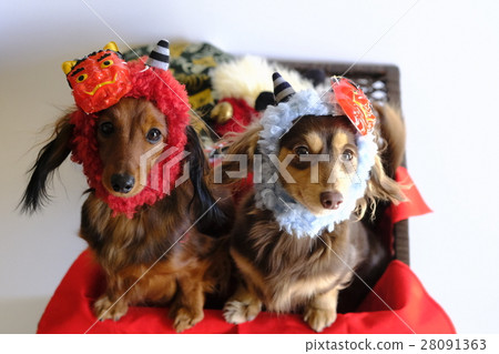 Dog February Setsubo角色扮演 Dog February Setsubo角色扮演 28091363