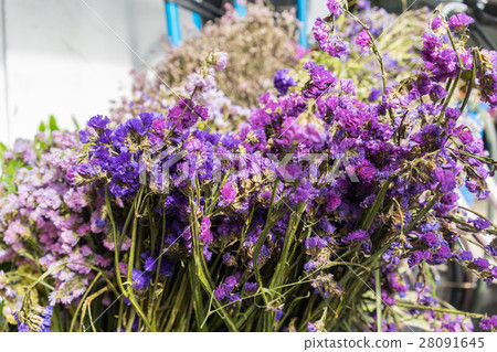 Statice flowers at flower market 28091645