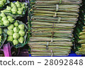 banana leaves and lotus 28092848