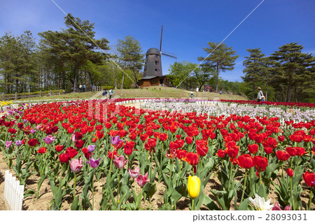 Yukitanigawa大壩森林公園·輕米（岩手縣宮町） 28093031