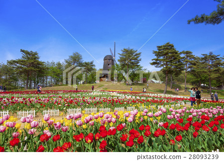 Yukitanigawa大壩森林公園·輕米（岩手縣宮町） 28093239