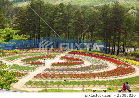 Yukitanigawa大壩森林公園·輕米(岩手縣宮町) Yukitanigawa大壩森林公園·輕米(岩手縣宮町) 28093820