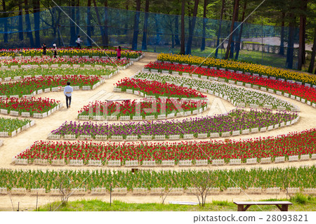 Yukitanigawa大壩森林公園·輕米(岩手縣宮町) Yukitanigawa大壩森林公園·輕米(岩手縣宮町) 28093821
