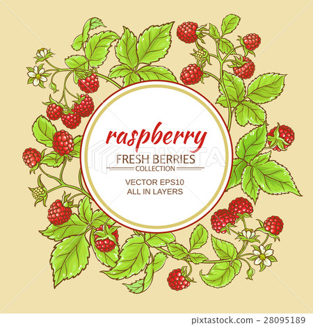 raspberry vector frame 28095189