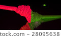 liquid stream on a gray background 28095638