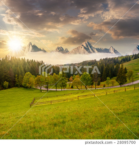 rocky peaks behind the forest and meadow at sunset 28095700