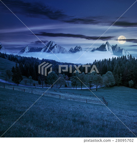 rocky peaks behind the forest and meadow at night rocky peaks behind the forest and meadow at night 28095702