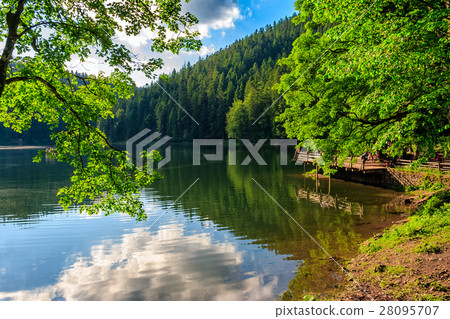 pier on mountain lake in forest 28095707