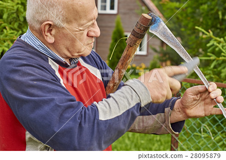 Senior man sharpening a scythe 28095879