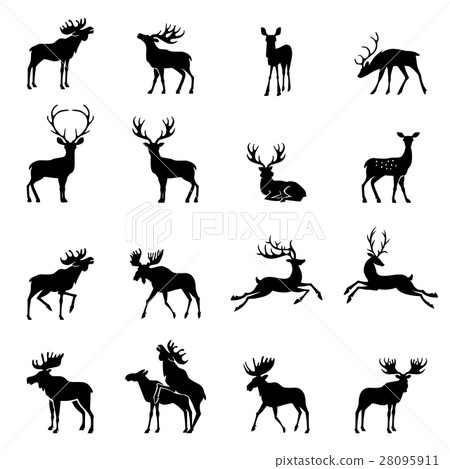 Deer collection - vector silhouette. 28095911