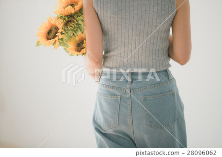 sunflower, sunflowers, female 28096062