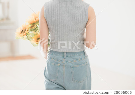 sunflower, sunflowers, female 28096066