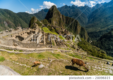 View of the Machu Picchu View of the Machu Picchu 28096815