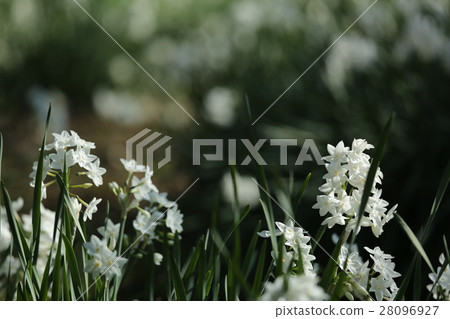 我不猜 我不猜 28096927