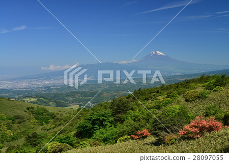 來自伊豆天際線的富士山 28097055