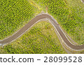 Aerial View Curved Road Cotopaxi Ecuador 28099528