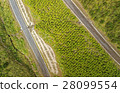 Cotopaxi National Park Road Aerial 28099554