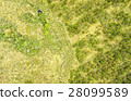 Altitude Vegetation Cotopaxi Park Aerial 28099589