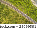 Reforestation Comparison Aerial Cotopaxi Ecuador 28099591