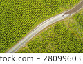 Union Between Paved And Unpaved Road Drone Aerial 28099603