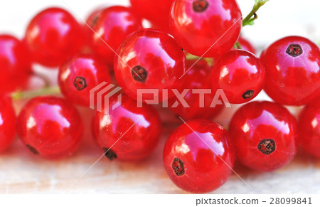 Red Currant Berries On Wood Table 28099841