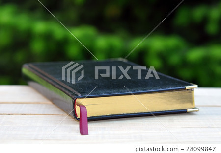 Book on Wooden Table on Nature Background Book on Wooden Table on Nature Background 28099847
