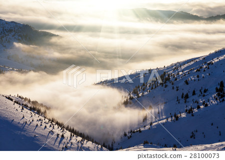 winter Carpathians landscape, Europe mountains 28100073