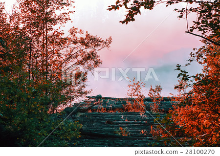 Autumn Landscape With Pink Mist At Sunrise 28100270