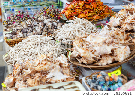 Different clear seafishes and seashells Different clear seafishes and seashells 28100681