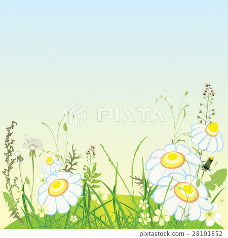 Green landscape, flowers and grass meadow Green landscape, flowers and grass meadow 28101852