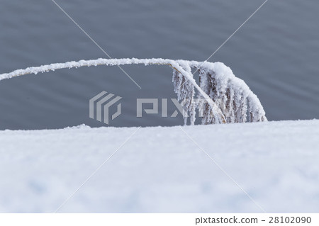 在冬天死的雪的風景 28102090