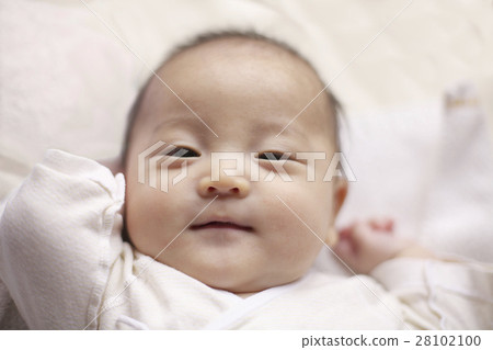Laughing Baby Laughing Baby 28102100