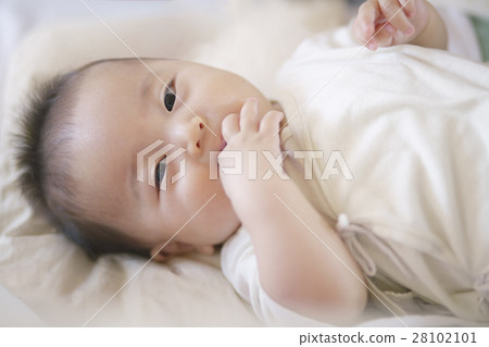 Baby here Baby here 28102101