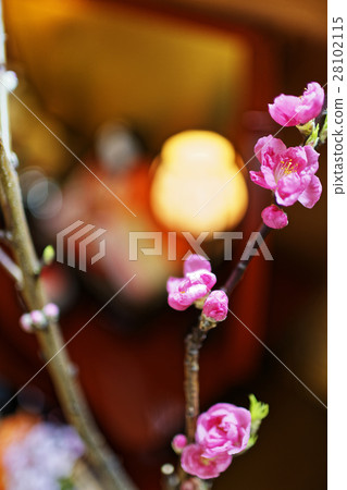 桃花節 桃花節 28102115