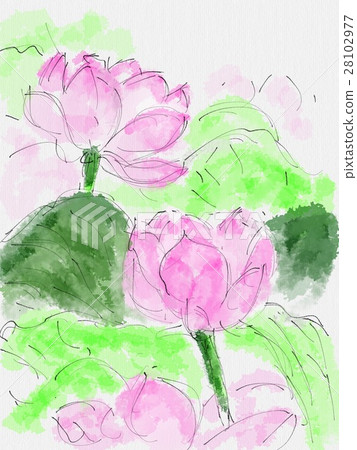 蓮花例證 蓮花例證 28102977